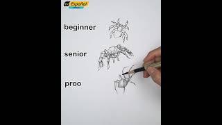 Draw Spider Many Different Style || Tv Español - Dibujo