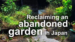 My Abandoned Garden in Japan (Relaxing Vlog)