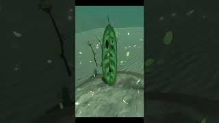 Finally... The LAST KOROK for the Legend of Zelda Breath of the Wild