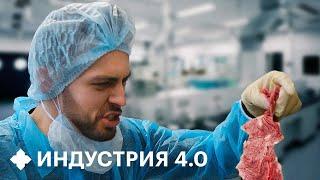 Искусственное мясо: как его делают в России