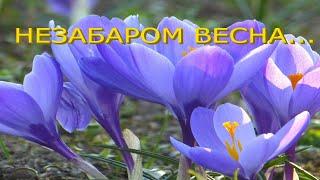 Незабаром весна! Красиве музичне відео-МРІЯ!)))