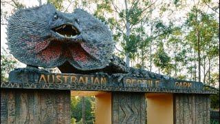 Australian reptile park | Full tour | April 2021