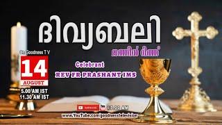 HOLY MASS|LATIN MASS| 14 AUGUST 2024 |REV FR PRASHANT IMS |MALAYALAM QURBANA|TODAY MASS|GOODNESS TV