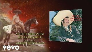 Vicente Fernández - El Palenque (Audio)