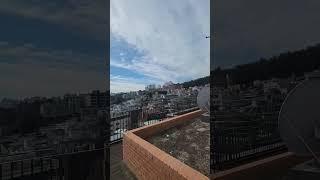 전망좋은집.#shorts #일상 #전망좋은집