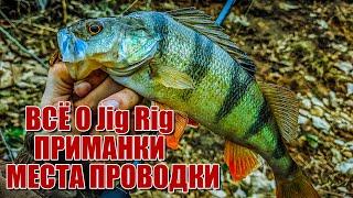 Всё о JIG RIG места, проводки, приманки | Как и когда я ловлю на джиг риг | Все плюсы остнастки