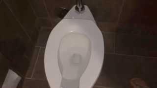 Worlds loudest toilet flush Sound effect of Toilet flushing