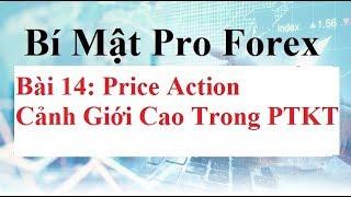 Bí mật Pro Forex Bài 14: Giao Dịch Theo PriceAction Pinbar, InsideBar hiệu quả. Hành động giá Forex.