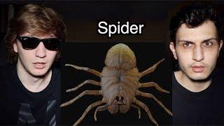 We Bought a PET SPIDER Off the Dark Web!