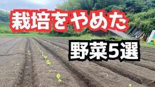 【個人農家・家庭菜園向け】栽培をやめた野菜5選「栽培計画のご参考に…」