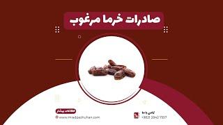 صادرات خرما
