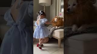 Toddler and dog Halloween costume