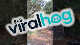 Felled Tree Falls On Fence And Shed || ViralHog