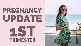 Pregnancy Update: Vitamins, Symptoms, Stretch Mark Creams | 1st Trimester