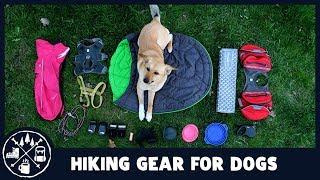 What hiking gear your dog really needs?