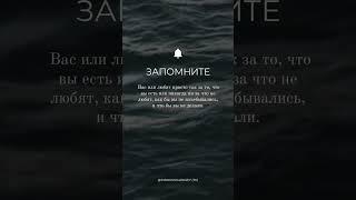 Законы мироздания #бизнес #любовь #отношения #shorts #reels #trending #video