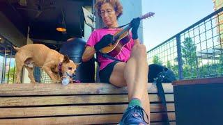 Beltline Morning Jam with pup cup  - Miss Moonshine pre-travel wind down