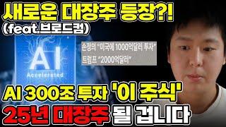 2025년을 주도할 대장주는 '이 주식'이 될겁니다 [미국주식, 브로드컴, 엔비디아]