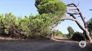 visita Oasi WWF Macchiagrande