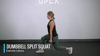 Dumbbell Split Squat