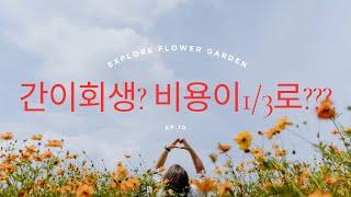간이회생, 비용이 1/3로 줄어든다고요?