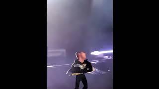 ترند جين