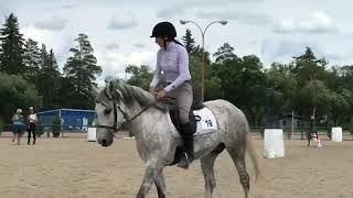 Gemini Working Equitation Obstacles Ease of Handling