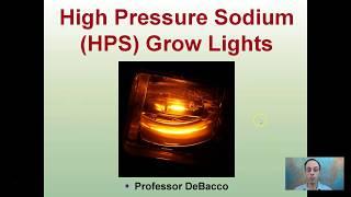 High Pressure Sodium (HPS) Grow Lights