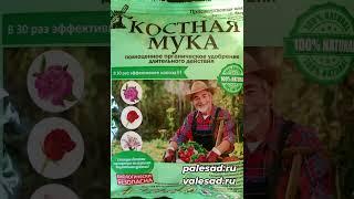 2 удобрения которые обязательно нужно внести осенью в почву! #shorts #shortvideo #short