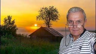 Когда заканчивать давать пчелам мед? Последние подкормки.