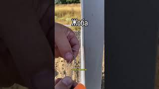 лучшее решение для забора