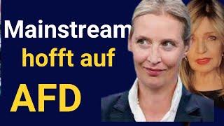 Verrückte Welt. Wenn Hauptstadt-Journalisten der AfD zustimmen