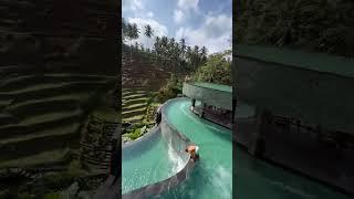 Inilah Mengapa Wisata Alam Ubud Bali Di Sukai Turis mancanegara #shorts #bali