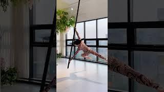 flying pole 폴과 함께 날다