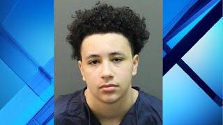 Teen accused of beating Winter Park High student to death accused in separate case