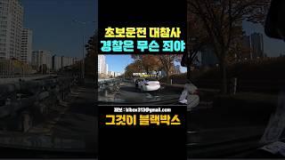 초보운전 대참사