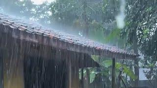 LIVE Heavy rain in the village