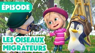 Masha et Michka  NOUVELLE SAISON 2025  Les oiseaux migrateurs  (Épisode 82)