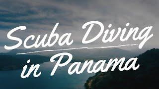 Scuba Diving in Panama | Panama Dive Adventure