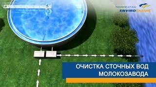 Очистка сточных вод молокозавода