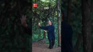 武当八卦掌第12集掌法教学（2）第1掌（Wudang Kungfu Bagua Palm Teaching）