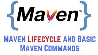 Maven Lifecycle and Basic Maven Commands