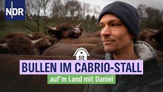 Nach dem Brand und vor dem kalten Winter: die Rinder kehren zurück | NDR auf'm Land | Folge 2