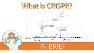 WHAT IS CRISPR? - GENE EDITING EXPLAINED!