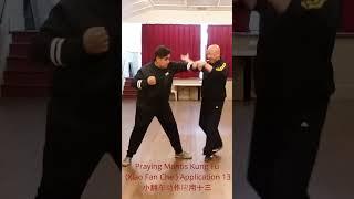 "Martial Marvel: Uncover the Secrets of Praying Mantis Kung Fu Xiao Fan Che Application 13! "螳螂拳好
