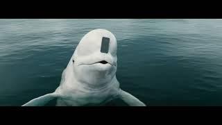 Genius Beluga [OFFICIAL] - NerdWallet Big Game Commercial 2025