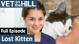  Lost Kitten Found In Bush | FULL EPISODE | S03E07 | Vet On The Hill
