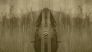 The PsychoDelics Trips - The Birth of Death