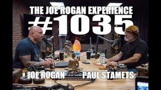 Joe Rogan Experience #1035 - Paul Stamets