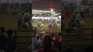 Fort Bend County Fair Cross Breed Class 3